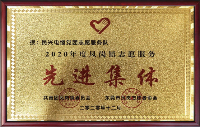 尊時凱龍黨團(tuán)志愿服務(wù)隊蟬聯(lián)“先進(jìn)集體”榮譽(yù)稱號